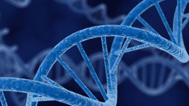 Phương pháp kỹ thuật kích hoạt miễn dịch DNA